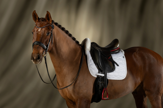 Schabracken