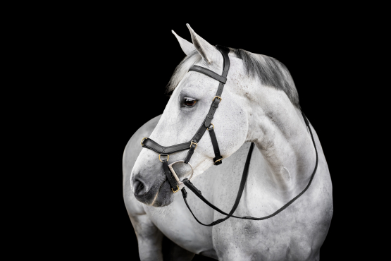 Horseware Micklem Sale %%%