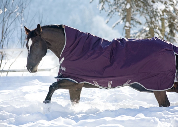 Horseware Rambo WUG heavy purple (lila) Gr. 160 cm Abverkauf!!