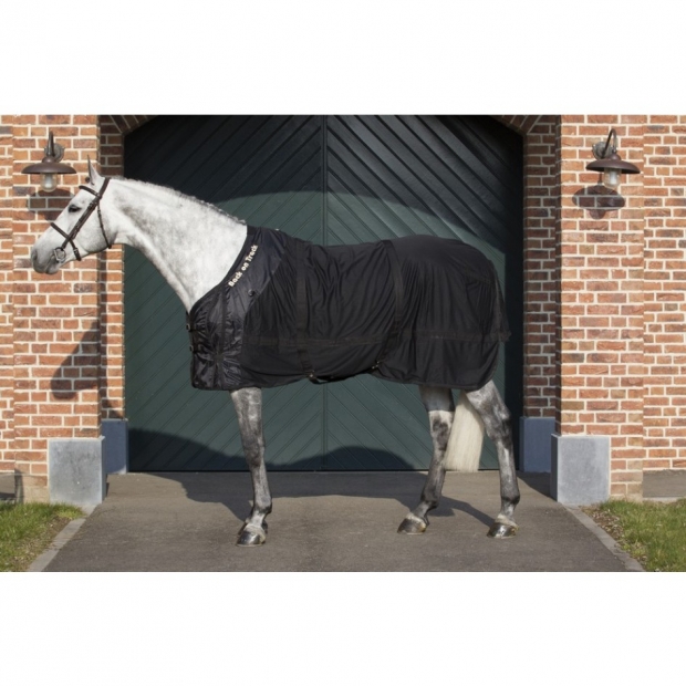 Back on Track Netzdecke Fliegendecke