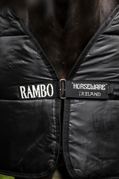 Horseware Rambo Optimo Liner Unterdecke 100 g