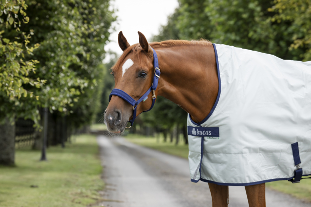 BUCAS Power Turnout light HN High Neck