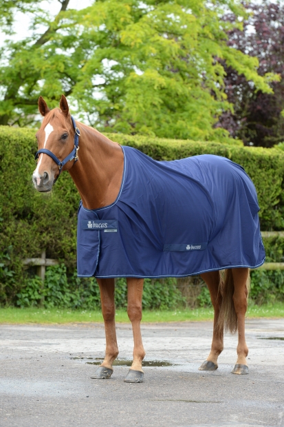 Abverkauf!!! BUCAS Power Cooler navy