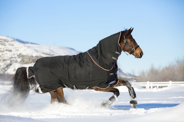 Horseware Rambo Supreme heavy Weidedecke schwarz/ orange EINZELSTÜCK