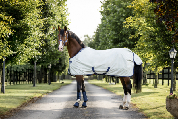 BUCAS Power Turnout light Big Neck