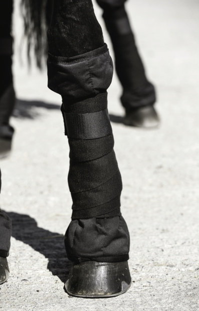 Horseware Rambo Ionic Wraps schwarz