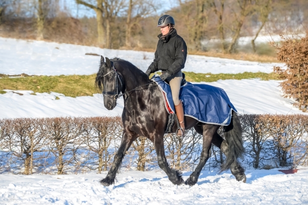 BUCAS Riding Rug Reitdecke Navy S-XL