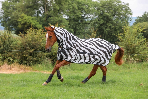 Bucas Buzz-Off & Neck Fliegendecke zebra