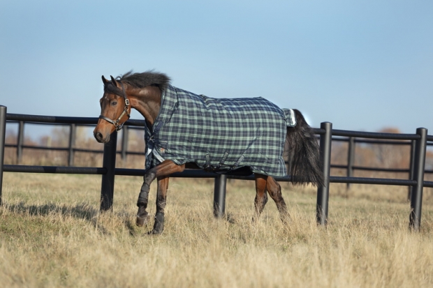 Horseware RHINO WUG 250g medium VARI- LAYER Regendecke hunter check