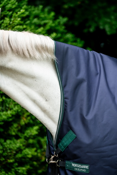 Horseware Rambo WUG medium Navy/Hunter Green & Silver