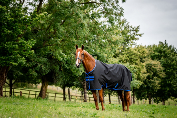 Horseware Amigo® Ripstop 900D Plus Turnout (100g Light) black