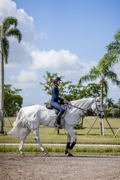Horseware Amigo Flyrider Fliegenausreitdecke silver/ titan