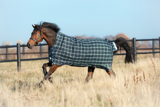 Horseware RHINO WUG 0g lite Regendecke Hunter Check/Navy