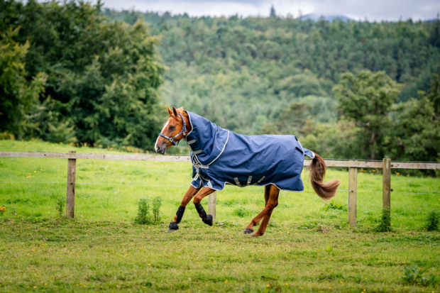 Horseware Amigo® Bravo 12 Plus Turnout (0g Light) Navy/Titanium