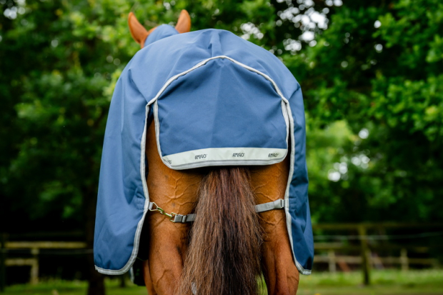 Horseware Amigo® Bravo 12 Plus Turnout (0g Light) Navy/Titanium