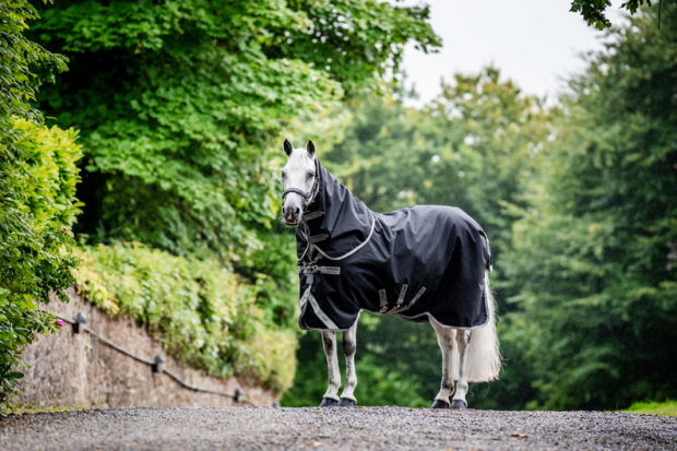 Horseware Amigo® Bravo 12 Plus Turnout (0g Light) Black /Titanium