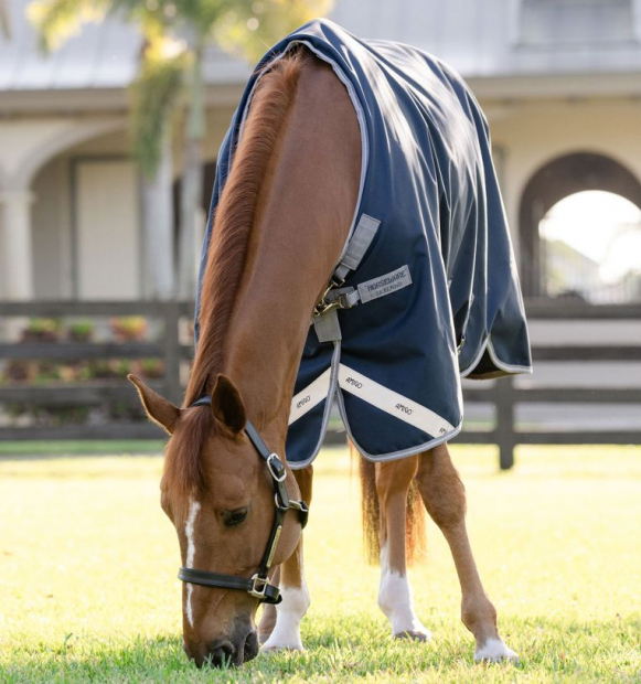 Horseware Amigo ® Bravo 1200D Weidedecke 250g Navy /Titanium medium