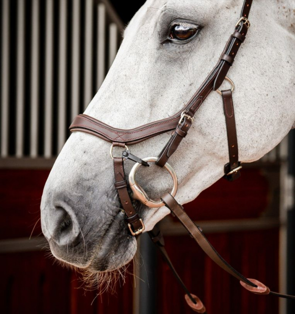 Horseware Micklem® 2 Competition Bridle dark havanna