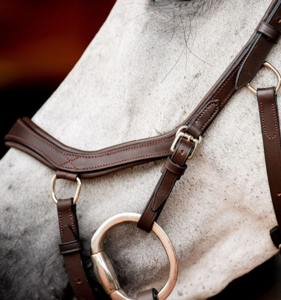 Horseware Micklem® 2 Competition Bridle dark havanna