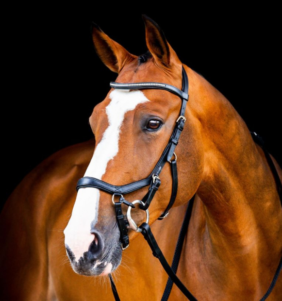 Horseware Micklem® 2 Diamante Competition Bridle schwarz