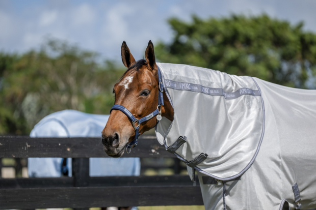 Horseware Amigo® Bug Rug Plus Fliegendecke Silver/Titanium