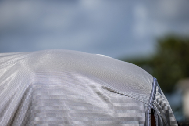 Horseware Amigo® Bug Rug Plus Fliegendecke Silver/Titanium