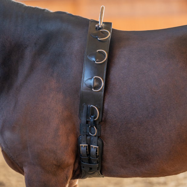 Kavalkade Bügel Longiergurt Leder schwarz Warmblut
