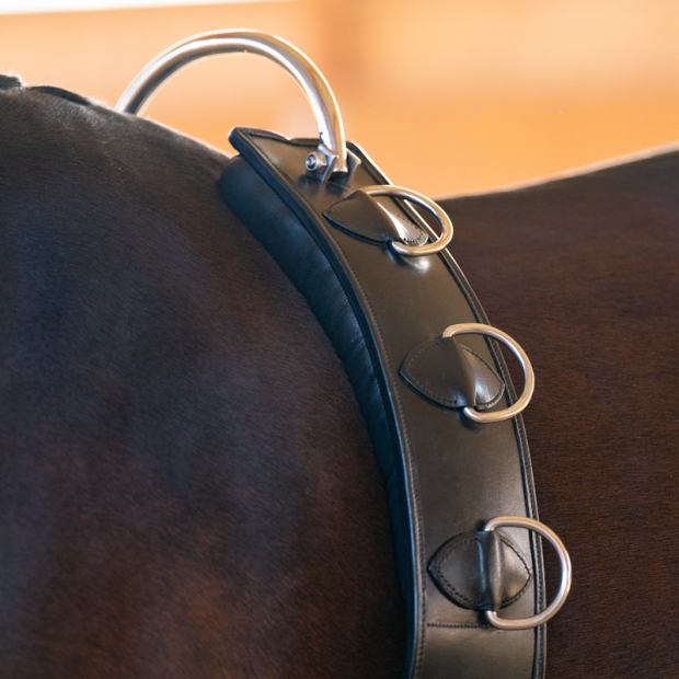 Kavalkade Bügel Longiergurt Leder schwarz Warmblut