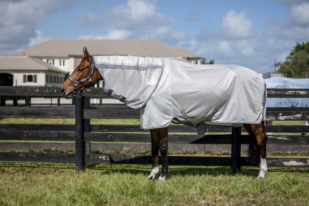 Horseware Amigo® Bug Rug Plus XL Fliegendecke Silver/Titanium