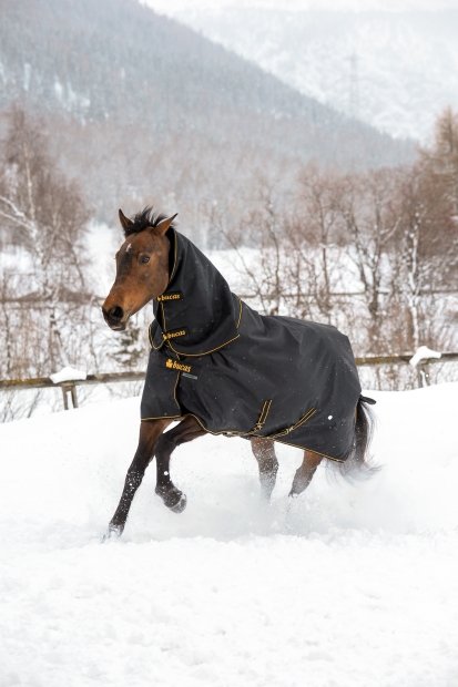 Vorbestellung! BUCAS Irish Turnout Combi Neck 150g Halsteil schwarz