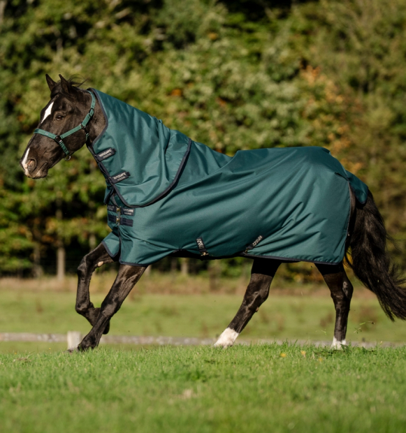 Horseware Amigo® Ripstop 900D Plus Turnout (0g Light) dynasty green