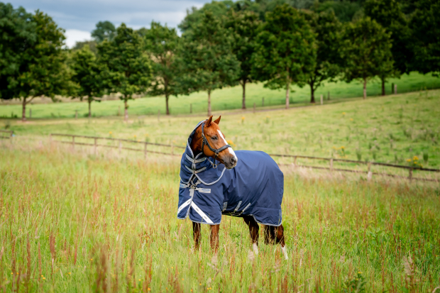 Horseware Rhino ® Plus TURNOUT 100 G medium Regendecke Navy / Titanium Grey