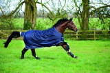 Abverkauf!!! Horseware Amigo Bravo 12 Original lite navy 115 cm