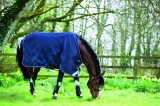 Abverkauf!!! Horseware Amigo Bravo 12 Original lite navy 115 cm