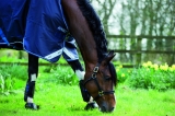 Abverkauf!!! Horseware Amigo Bravo 12 Original lite navy 115 cm
