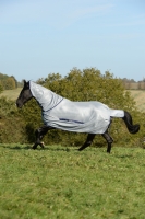 Abverkauf!!! Bucas Buzz-Off Fliegendecke/ Ekzemerdecke Full Neck Pony