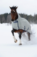 BUCAS Power Turnout Extra High Neck 300 Gramm silber