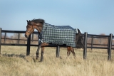 Horseware RHINO WUG 250g medium VARI- LAYER Regendecke hunter check