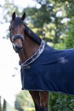 BUCAS Show-Line Fleece Fleece Abschwitzdecke navy
