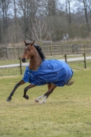 BUCAS Smartex Turnout medium blau 150 Gramm