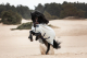 BUCAS Power Turnout Light silber