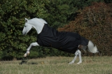 BUCAS Irish Turnout light HN schwarz 50 Gramm