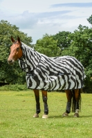 Abverkauf!! Bucas Buzz OFF Fliegendecke Full Neck Zebra