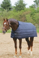 Horseware Liner Unterdecke 100 g
