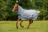 Abverkauf!!! Bucas Buzz-Off Fliegendecke/ Ekzemerdecke Full Neck Pony