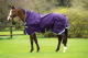 PREIS HAMMER!!! Horseware Rambo WUG lite purple (lila)