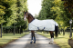 BUCAS Power Turnout light Big Neck