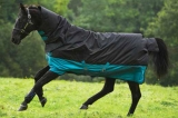 Abverkauf!!! Horseware Amigo Mio All-In-One medium 200 Gramm black turquoise Gr. 115 cm
