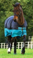 Abverkauf !!! Horseware Amigo Mio Turnout medium black turquoise Weidedecke Winterdecke