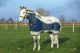 Horseware Rambo® Summer Series Turnout mit Disc Front (0g Außen mit 100g Liner)